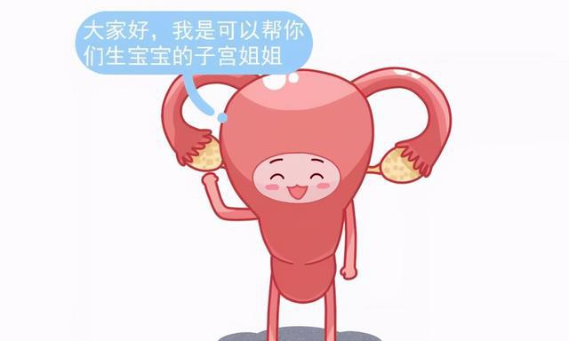 黄体期_滤泡期排卵期黄体_促黄体生成素卵泡期
