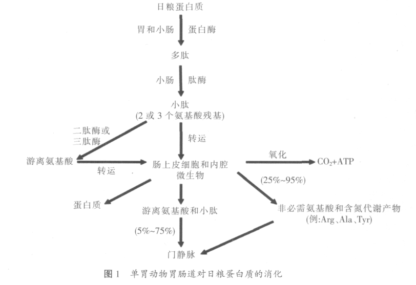 成熟细胞比幼嫩细胞对生长素更敏感_红细胞_ins 1细胞是什么细胞