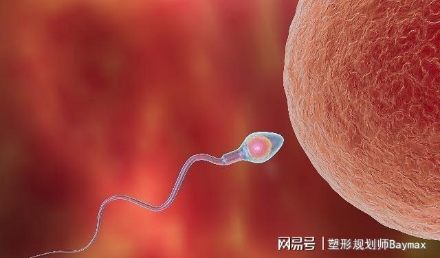 排卵试纸强阳_排卵试纸强阳后多久会排卵_试纸强阳后多久排卵