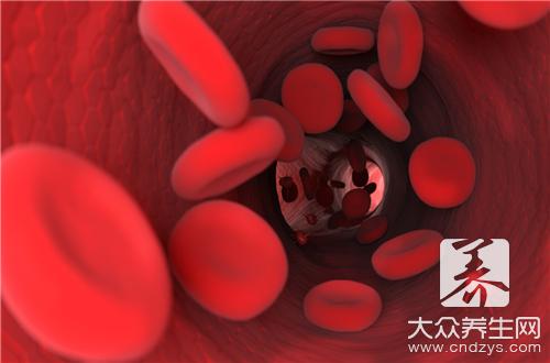 红细胞的主要功能是什么？