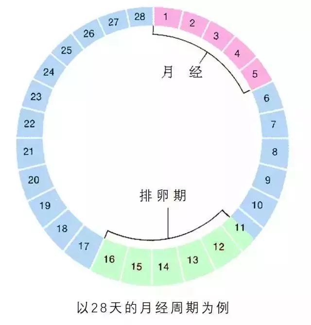 月经总提前一周正常吗_月经提前_月经总提前一周