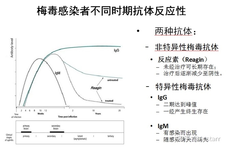 梅毒抗体