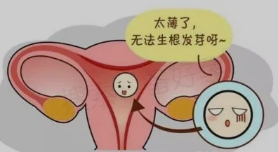 子宫内膜薄_子宫 内膜 息肉_子宫n内膜弥漫型小息肉