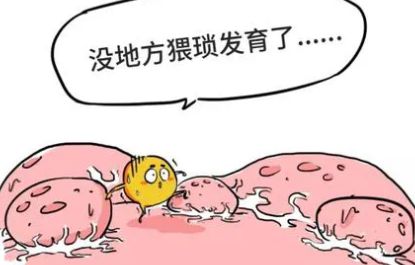 子宫内膜薄_子宫没有内膜有月经吗_内膜正常子宫会粘连
