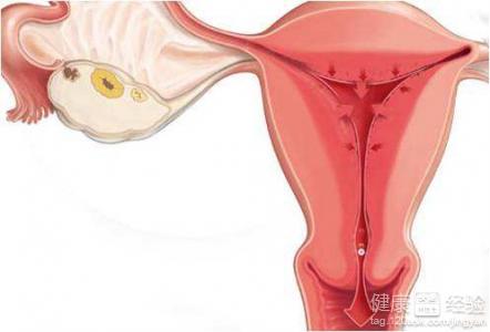 内膜厚度多少正常_经期内膜厚度多少正常_子宫内膜厚度