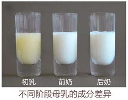 奶水稀