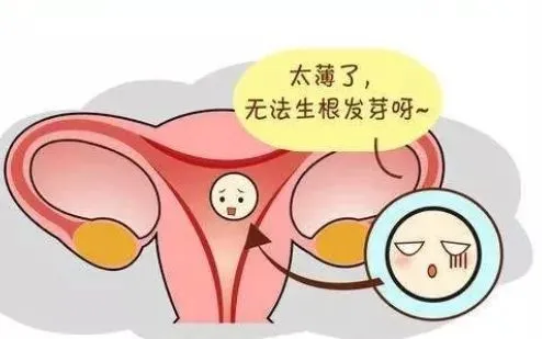 子宫内膜薄