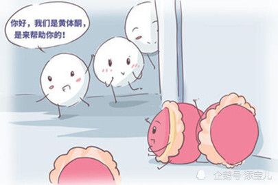 卵泡期黄体生成素偏低_黄体期_黄体