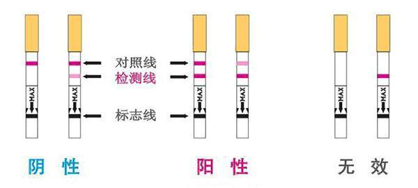 环氧棒环氧棒_杜蕾斯震震棒与多速棒_验孕棒