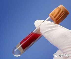 nk细胞