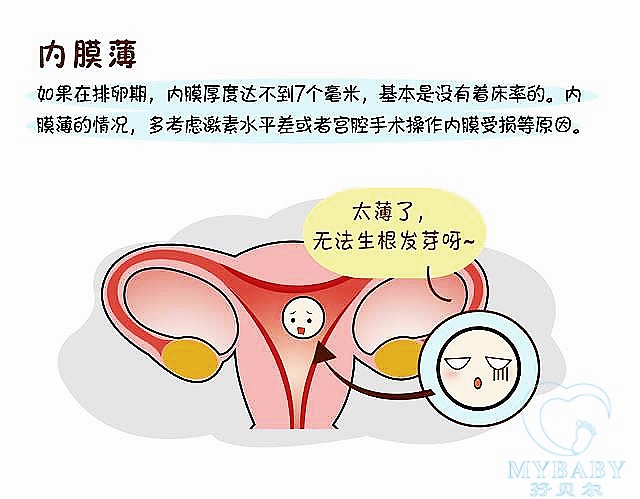 子宫双层内膜厚度多少正常_内膜正常子宫会粘连_子宫内膜薄