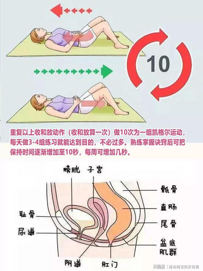 医院盆底肌康复_产后康复盆底肌_盆底肌修复