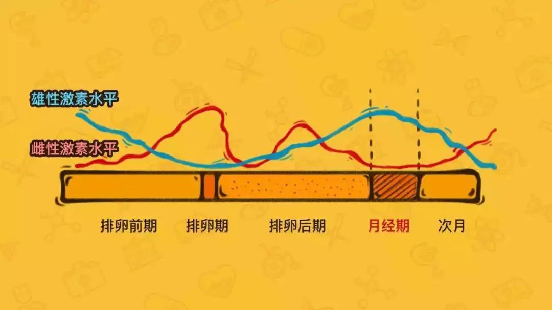 子宫内膜厚度