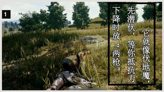 单纯疱疹病毒
