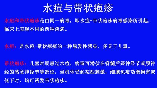 单纯疱疹病毒