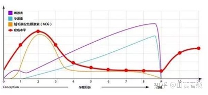 变性人催乳激素_催乳激素_更年期催乳激素高有什么症状