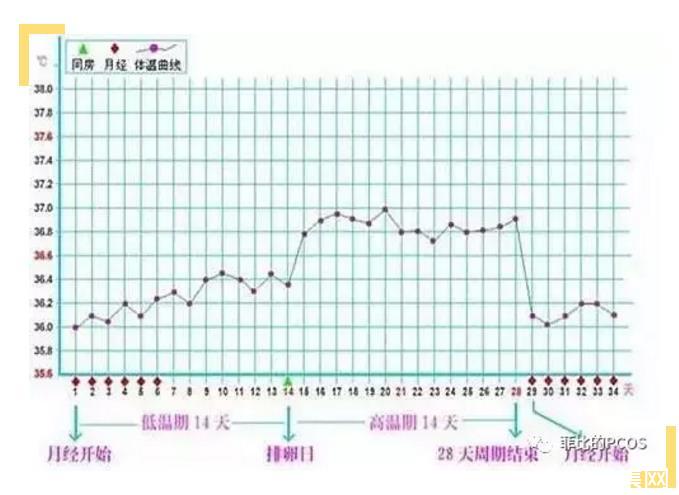 着床降温体温图_着床降温什么意思_着床降温