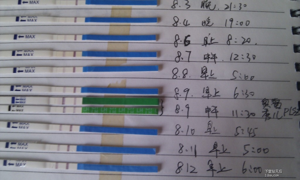 试纸强阳后多久排卵 男孩_排暖试纸强阳多久排卵_排卵试纸强阳