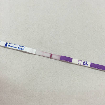 排暖试纸强阳多久排卵_排卵试纸强阳_试纸强阳后多久排卵 男孩