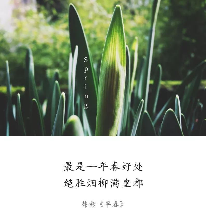 孕妇可以吃芡实吗
