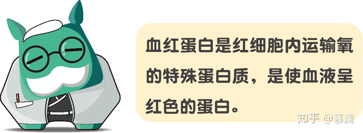 红细胞