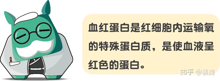 红细胞