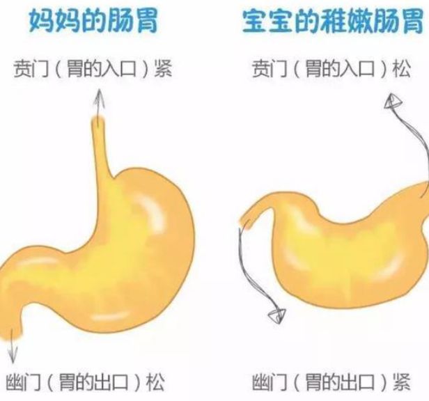 婴儿呛奶