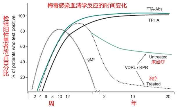 梅毒抗体