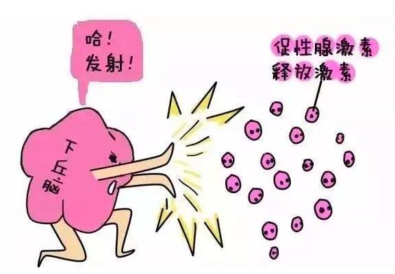 试纸强阳后多久排卵_排卵试纸强阳_试纸强阳后多久排卵 男孩