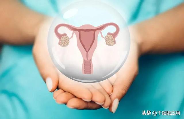 试纸强阳后多久排卵 男孩_试纸强阳后多久排卵_排卵试纸强阳