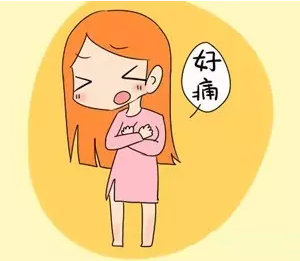 妊娠黄体和月经黄体_黄体期_卵泡期促黄体生成素