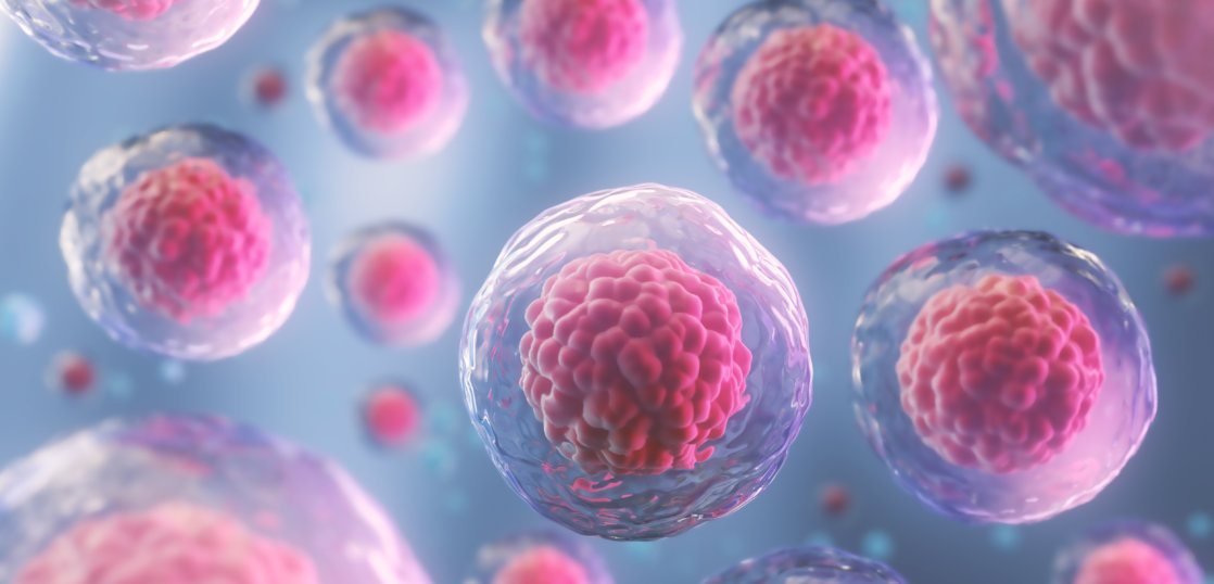 什么是NK细胞和t细胞?保护身体免受病原体的生物防御机制