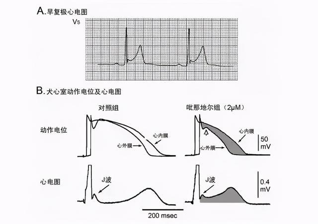 哈尔滨市区征地区片综合地价表2011_长益复线望城征拆标准_长QT间期综合征
