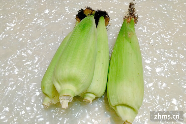 孕妇能喝玉米糁吗,玉米糁有什么功效与作用