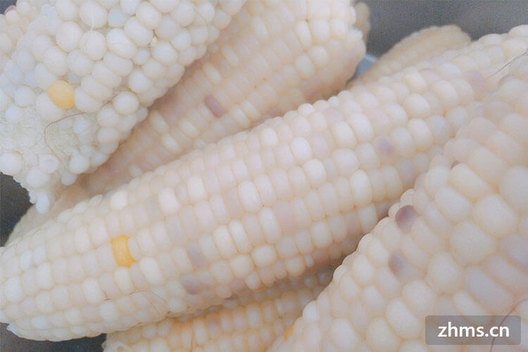 孕妇能喝玉米糁吗