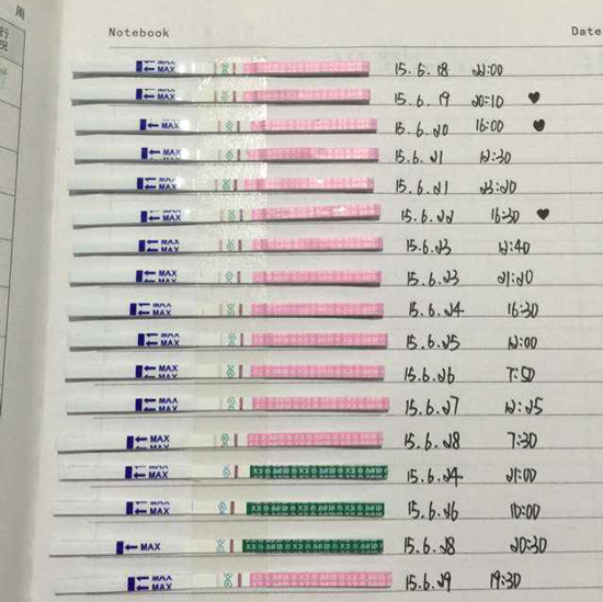 排卵试纸强阳后多久排卵_排卵试纸强阳_测排卵试纸强阳后多久排卵