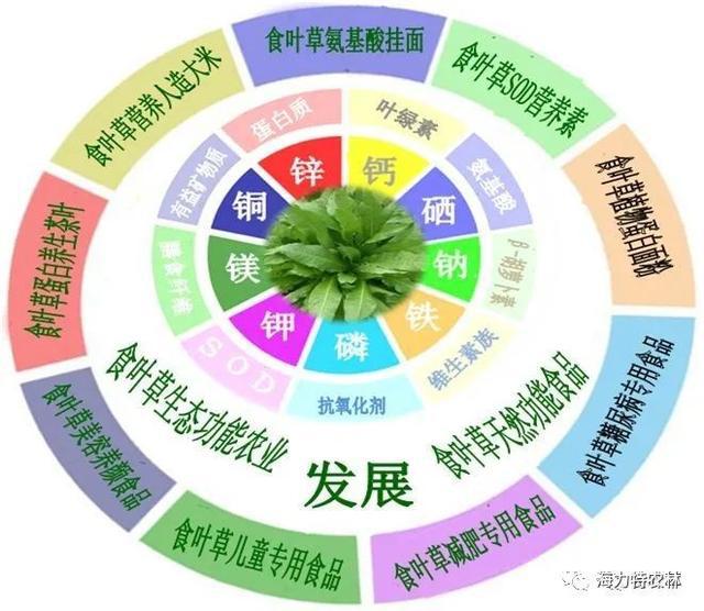 nk细胞活性检测_nk细胞活性_nk细胞