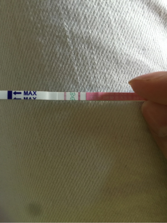 排卵试纸强阳_排卵试纸强阳后多久会排卵_大卫试纸强阳多久排卵
