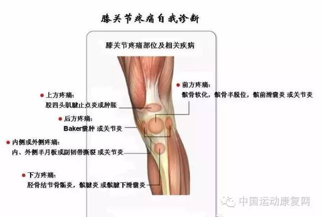 激素引起的低钾怎么办_人促黄体生成激素低_雌激素低怎么办