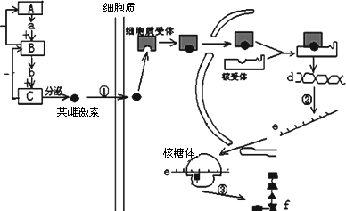 雌激素低怎么办_激素引起的低钾怎么办_人促黄体生成激素低