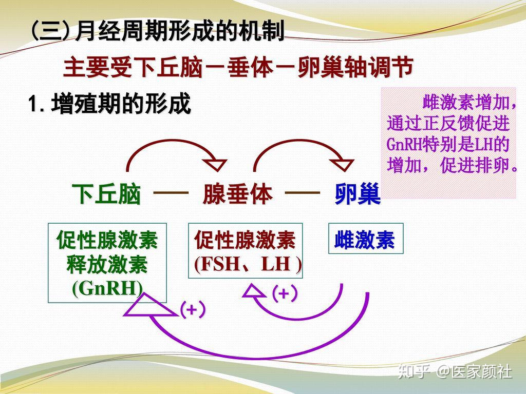 月经提前