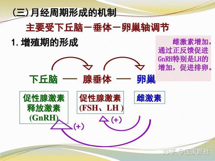 月经提前