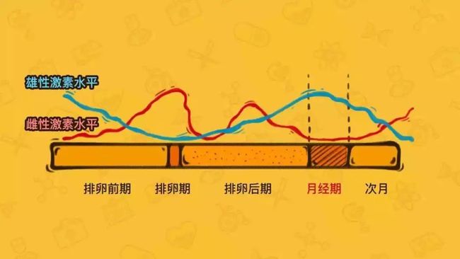 正常子宫宫内膜厚度_子宫内膜厚度_内膜厚度多少正常受孕吗
