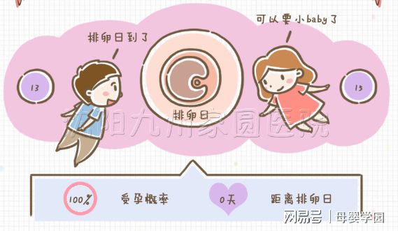 滤泡期短的话黄体期会延长吗_黄体期_卵泡期促黄体生成素