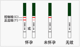 验孕棒