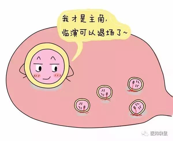 卵泡期黄体生成素偏高_卵泡期促黄体生成素_黄体期
