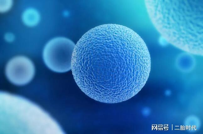 卵泡期黄体生成素偏高_黄体期_卵泡期促黄体生成素