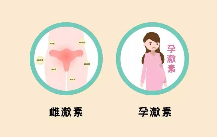 卵泡期黄体生成素偏高_卵泡期促黄体生成素_黄体期