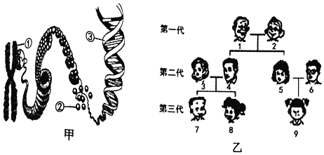 特纳氏综合症怀孕_特纳氏综合症 病因_特纳氏综合症