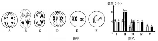 特纳氏综合症的原因_特纳氏综合症_特纳氏综合症